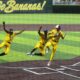 ESPN to broadcast 10 Savannah Bananas games this summer on heels of MLB opt out