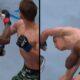 Malcolm Wellmaker's KO sends Saaiman airborne