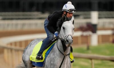Steve Matthews' Kentucky Derby 2025 horse-by-horse analysis