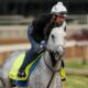 Steve Matthews' Kentucky Derby 2025 horse-by-horse analysis