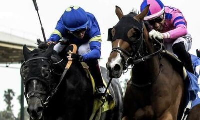 Firenze Flavor gets nose down to win Honeymoon
