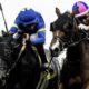 Firenze Flavor gets nose down to win Honeymoon