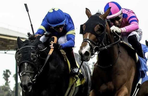 Firenze Flavor gets nose down to win Honeymoon
