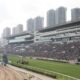 Picks, analysis, free PPs for Sha Tin