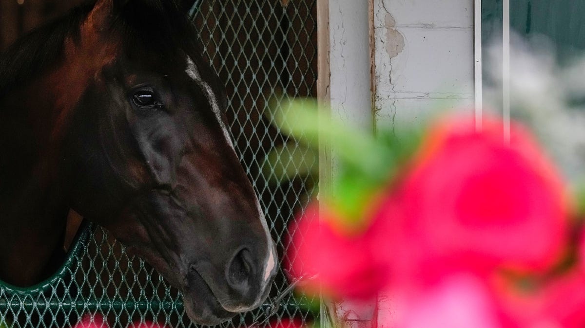 Triple Crown racing schedule must change to improve Preakness field