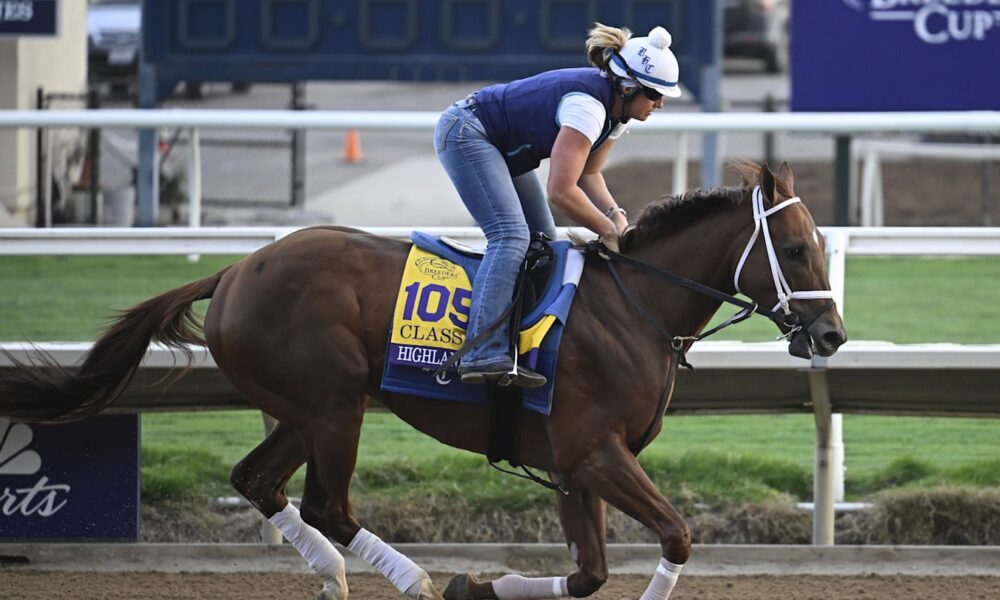 Grade 1 Winner Highland Falls Returns to the Races in New York