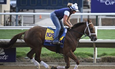 Grade 1 Winner Highland Falls Returns to the Races in New York