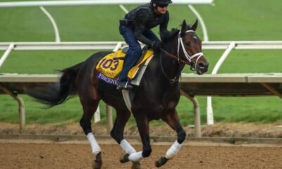 Fierceness is favorite on new morning line