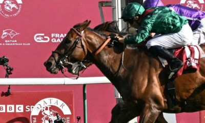 Prix de l'Arc de Triomphe: Daryz pips Minnie Hauk with late charge