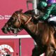 Prix de l'Arc de Triomphe: Daryz pips Minnie Hauk with late charge