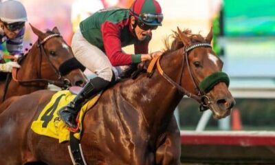 Del Mar stakes winner Grand Slam Smile leads fastest horses