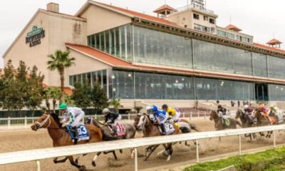 Filly by Midshipman leads pack