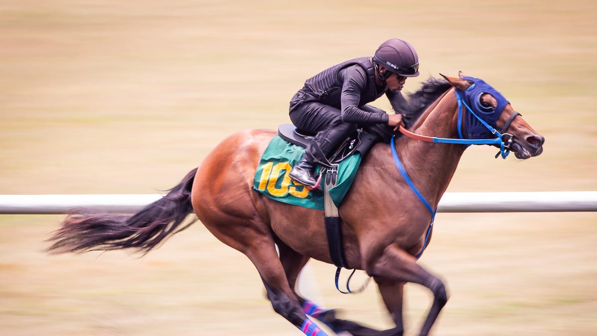 Bill would allow Florida's 2 horse tracks to stop holding races