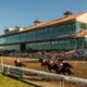 Horse Racing This Weekend: Key Races, Top Horses & Best Bets