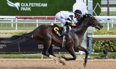 Mott debuts 2 impressive colts