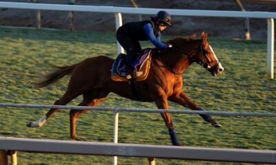 Owner pays emotional tribute to Live In The Dream