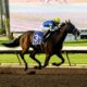 Time for Kentucky Derby hopefuls to make repeat statements – San Gabriel Valley Tribune