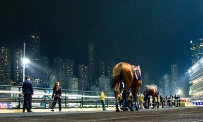 Hong Kong Wednesday morning: Picks, analysis, free PPs