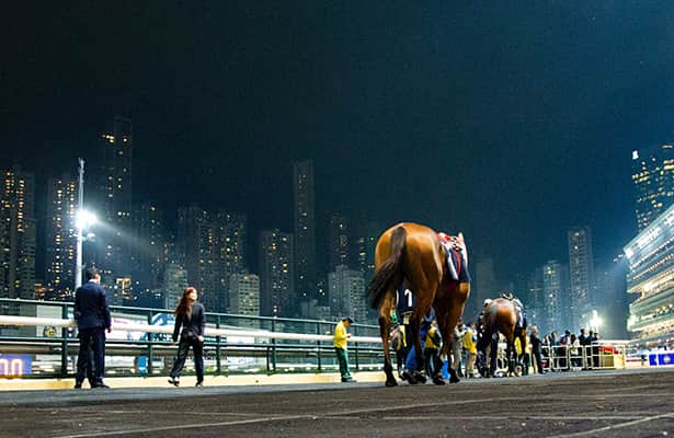 Hong Kong Wednesday morning: Picks, analysis, free PPs