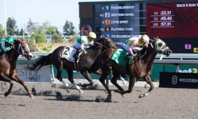 Possiblemente rallies to win Jacques Cartier at Woodbine