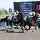 Possiblemente rallies to win Jacques Cartier at Woodbine