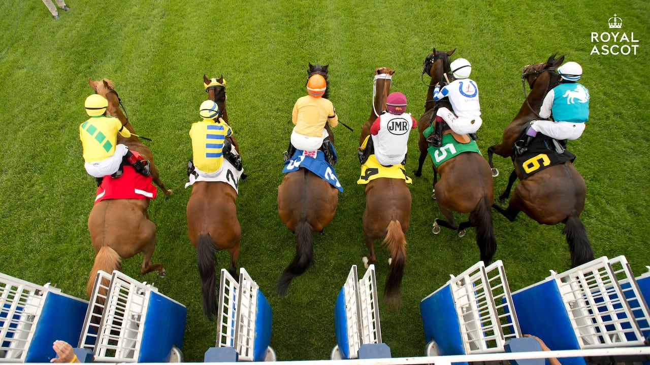 Horse Racing: Royal Ascot