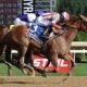 Fully Subscribed leads Friday's fastest winners