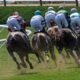 Jockeys' Guild Responds to Saratoga Distance Change