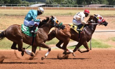 Night in Old Fredericksburg Gillespie County Fair Ground Horse Racing | Sports