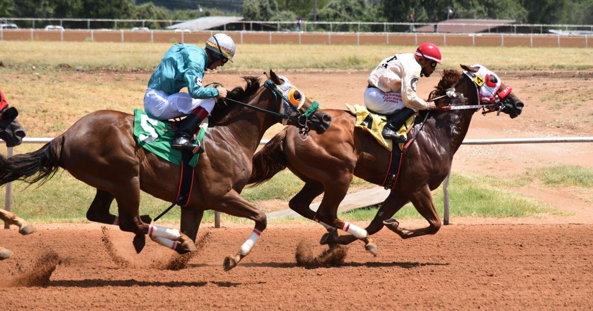 Night in Old Fredericksburg Gillespie County Fair Ground Horse Racing | Sports