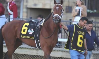 Classy victories for Burnham Square and Renegade