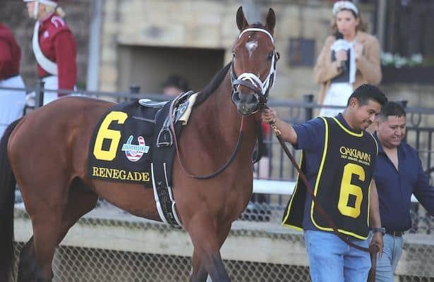Classy victories for Burnham Square and Renegade