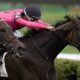 DRF's Horse Racing Playbook for Friday, Aug. 21, 2026