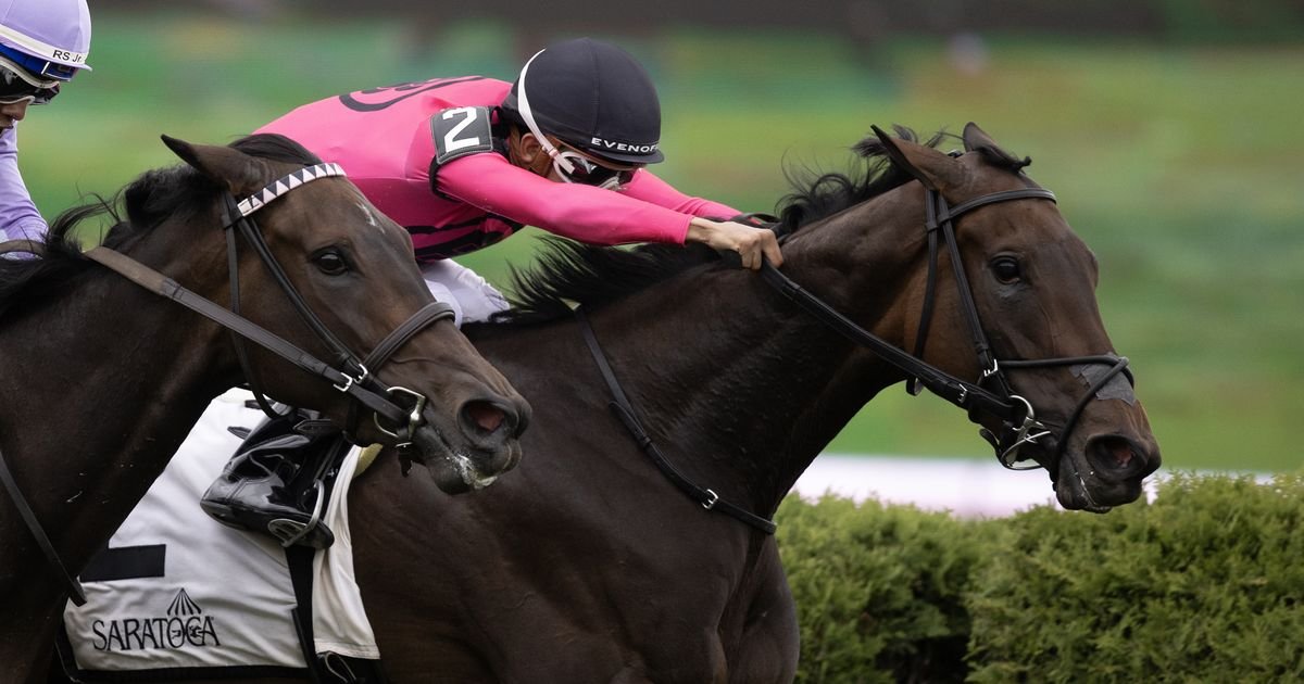 DRF's Horse Racing Playbook for Friday, Aug. 21, 2026