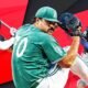 MLB Power Rankings Week 20: Brewers pass Dodgers for No. 1