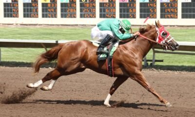 All American Futurity headlines closing day on summer racing season at Albuquerque Downs