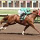 All American Futurity headlines closing day on summer racing season at Albuquerque Downs